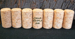 Bouchons liège Cidrex chanfreinés 45x24,5 mm pour cidre et bière.