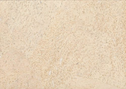 dalles muyr plafond liege coller jupiter