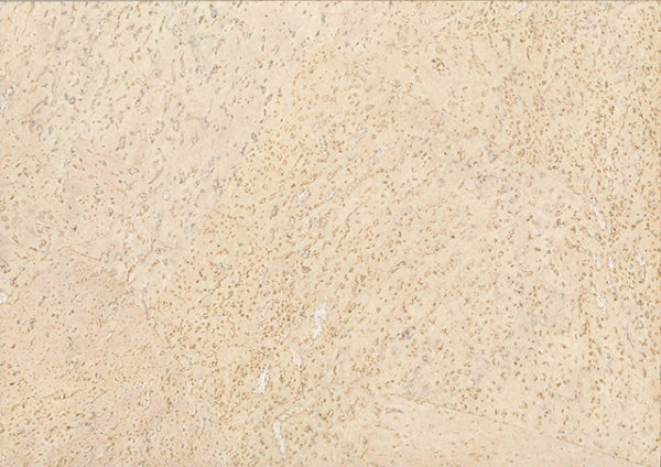 dalles muyr plafond liege coller jupiter